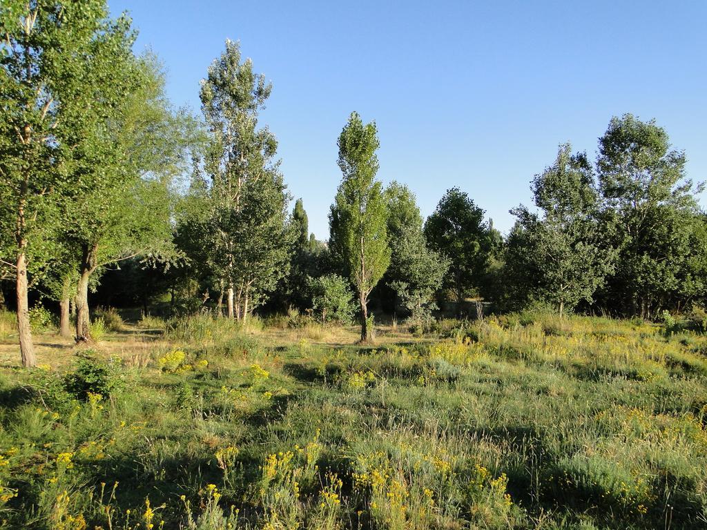 La Casita Del Alberche Vendégház San Martín de la Vega del Alberche Kültér fotó